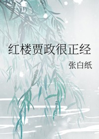 [红楼同人] 红楼贾政很正经